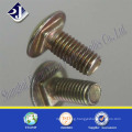 Grade 8.8 Carriage Screw Ts16949